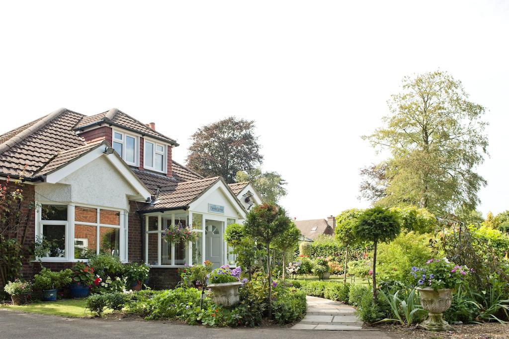 Forest View B&B Landford Luaran gambar