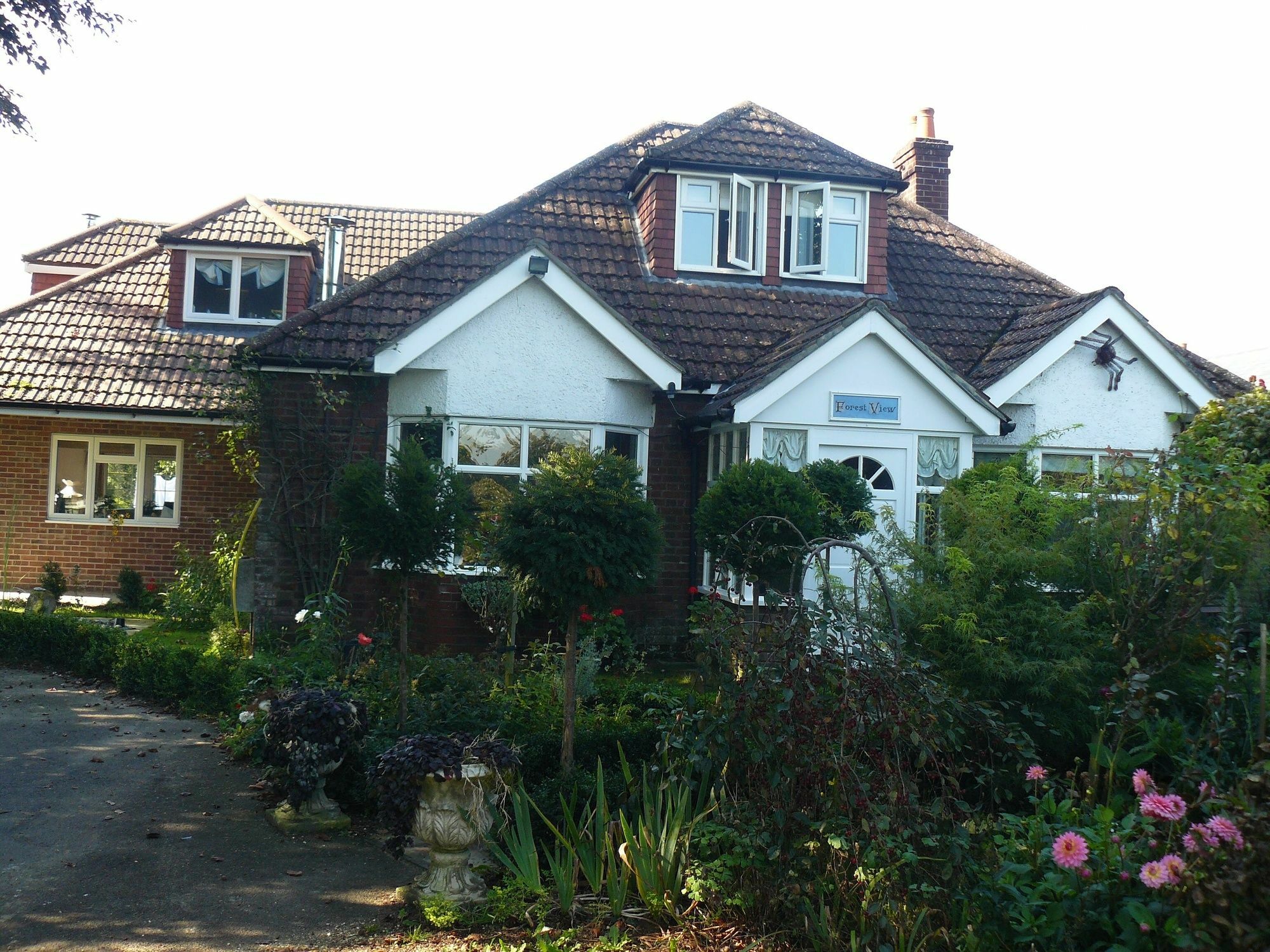 Forest View B&B Landford Luaran gambar