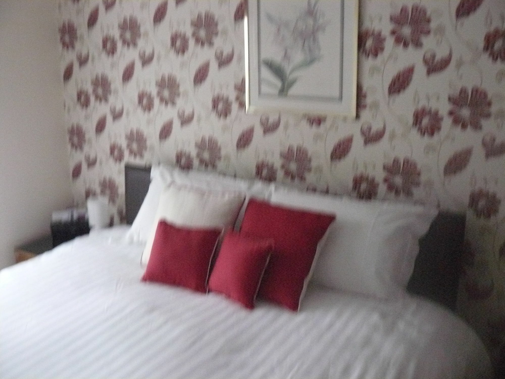 Forest View B&B Landford Luaran gambar